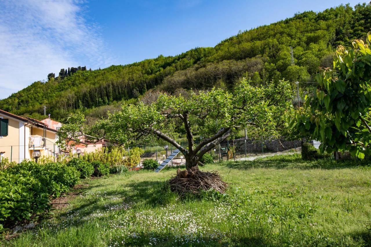 Apicella Casa Vacanze Villa Tramonti Kültér fotó